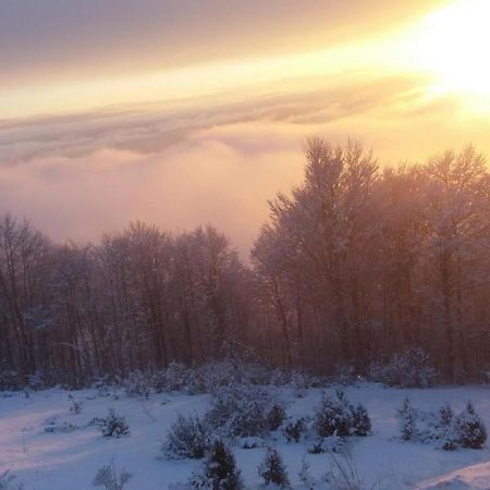 Goma Kop Apartmani Kopaonik Exteriör bild