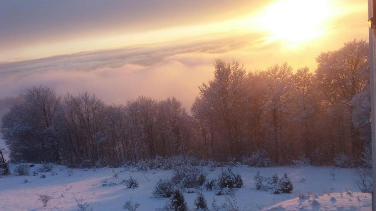 Goma Kop Apartmani Kopaonik Exteriör bild
