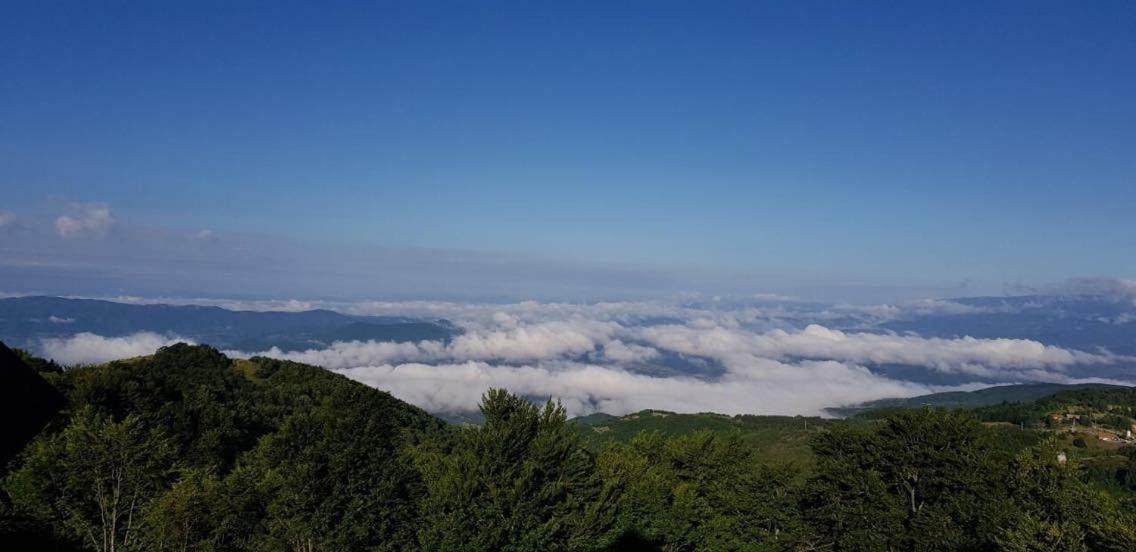 Goma Kop Apartmani Kopaonik Exteriör bild
